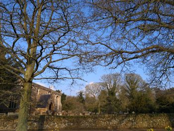 Bare trees by abandoned building against sky