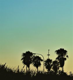 Silhouette trees on field against clear sky during sunset