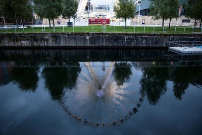 Reflection of trees in water