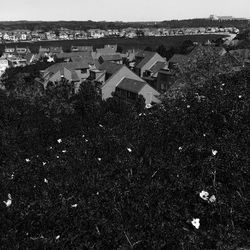 High angle view of houses in town against sky