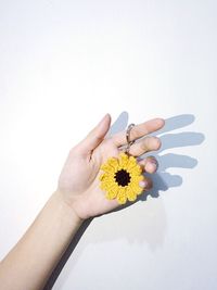 Close-up of hand holding flower over white background