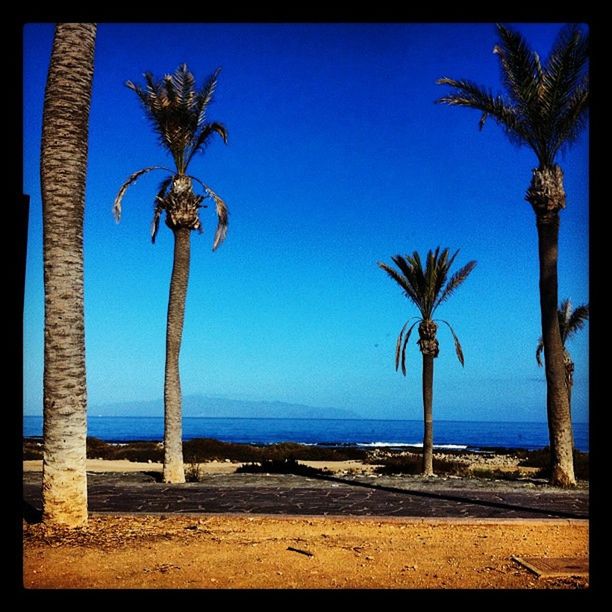 Tenerife Beach