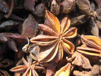 Full frame shot of dry star anise