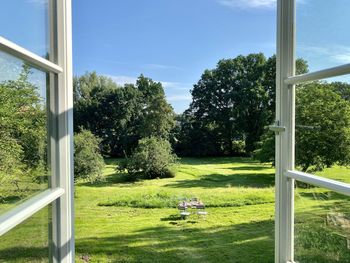 Trees and plants on field seen through glass window