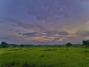 Scenic view of field against sky during sunset