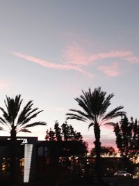 Low angle view of silhouette palm trees against sky at sunset