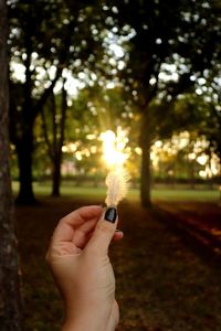 Close-up of hand holding plant against trees