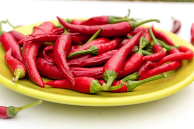 Red chilli peppers on a green plate