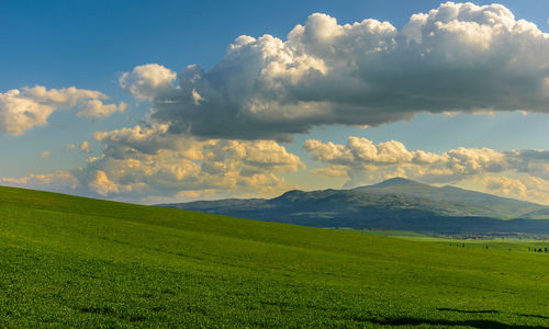 Scenic view of field against sky