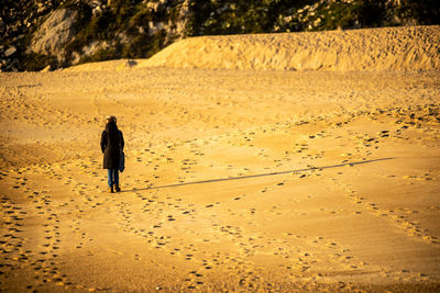 Rear view of man walking on sand