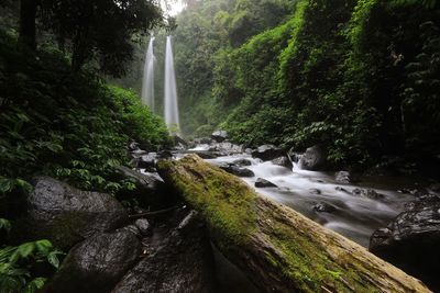 Tibu waterfall