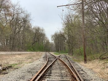 Railroad tracks amidst trees against sky