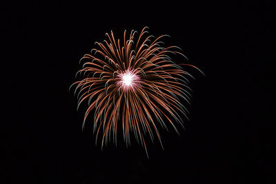 Low angle view of firework display at night