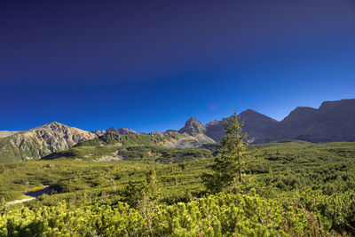 mountain