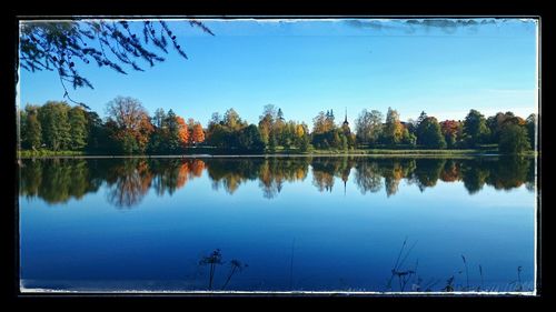 Reflection of trees in calm lake