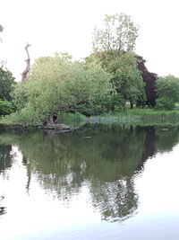 Scenic view of lake against clear sky