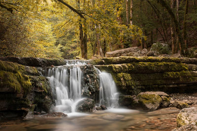 Scenic view of waterfall in forest