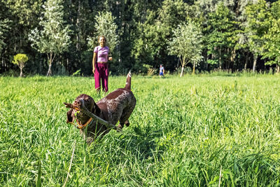 Portrait of a young blonde woman training a hunting dog of the kurz-haar breed in the park. summer 