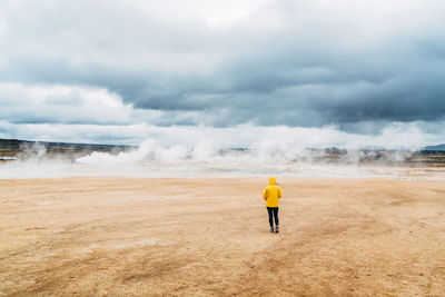 Rear view of man on beach