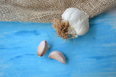 High angle view of eggs in container