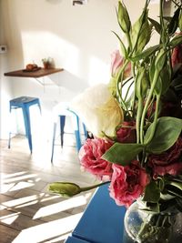 Roses in vase on table at home