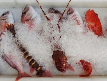 Close-up of fish for sale at market