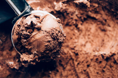 Close-up of ice cream in mud