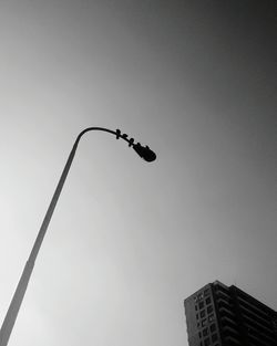 Low angle view of tree against sky