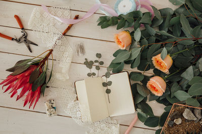 High angle view of potted plant on table