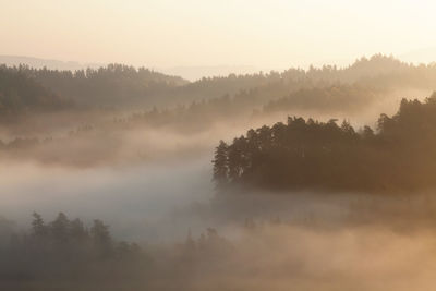 Trees on landscape against sky at foggy weather
