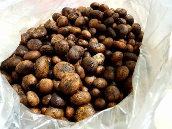 High angle view of thai mushrooms 