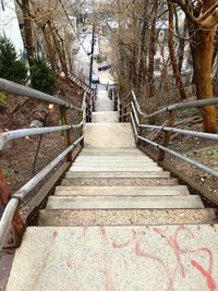 Staircase amidst trees