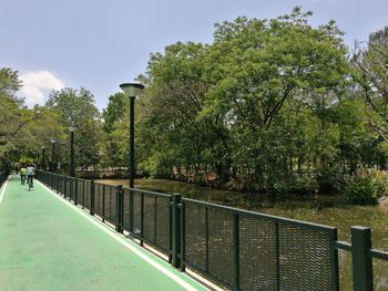 Trees by water against sky