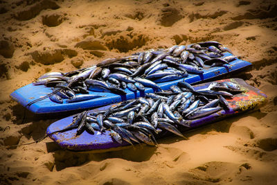 Close-up of deck chairs on sand at beach