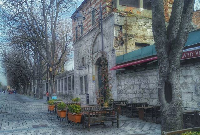 architecture, building exterior, built structure, tree, city, residential building, building, street, residential structure, bare tree, house, outdoors, day, the way forward, sky, sidewalk, no people, city life, tree trunk, branch