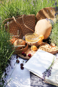 Summer picnic on a lavender field with champagne glasses, croissants, apricots and cherry berries