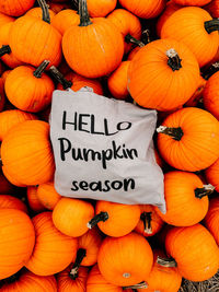 High angle view of pumpkins for sale at market stall