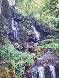 Stream flowing through rocks in forest