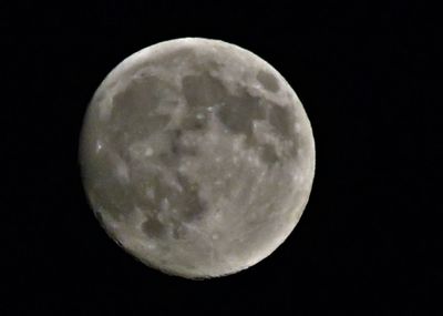 Close-up of moon against clear sky at night