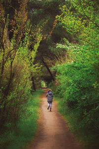 Rear view of boy riding push scooter on dirt road amidst plants and trees