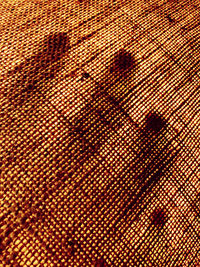 Full frame shot of cat