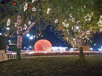 Illuminated christmas tree in park at night