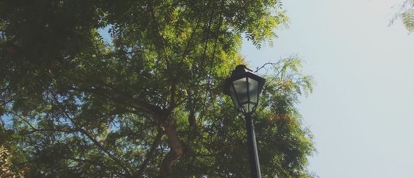 Low angle view of street light against clear sky