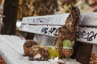 Close-up of abandoned toy animal on bench during winter