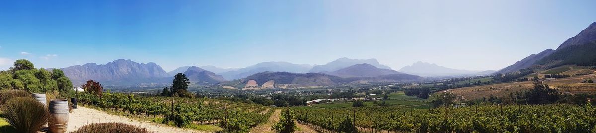 Panoramic view of agricultural field against sky