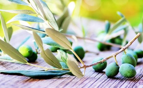 Green olives and leaves on table
