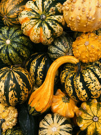 Full frame shot of pumpkins at market