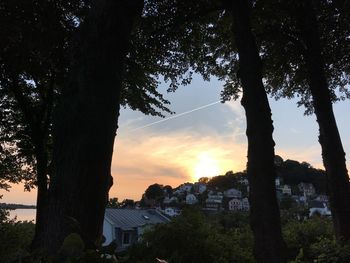 Silhouette tree by buildings against sky during sunset