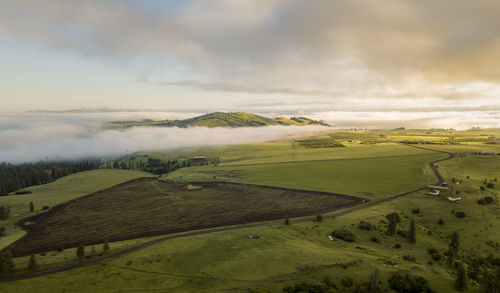 Scenic view of agricultural field against cloudy sky at sunset