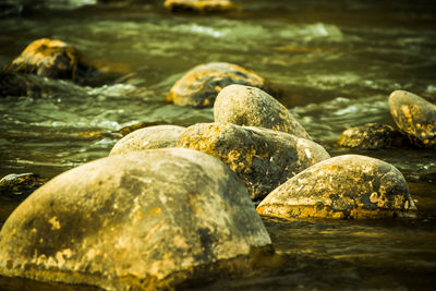 Close-up of stones in sea